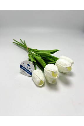 IVORY MOR LALE 6 LI