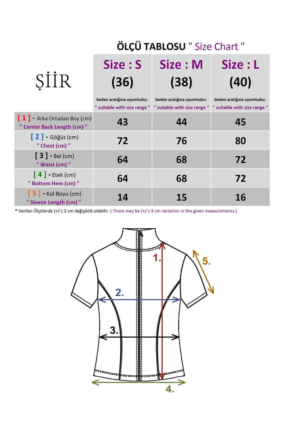 Şiir Tekstil NAMPO SlimFit (Vücudu Saran) Fermuarlı Kısa Kollu Kadın Spor Ceket Collared & Sporcu Hırkası - Siyah görsel 2