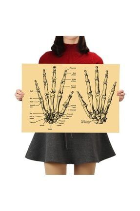 El Anatomisi - Vintage Kraft Poster - 33x48cm CaphHandAnatomy