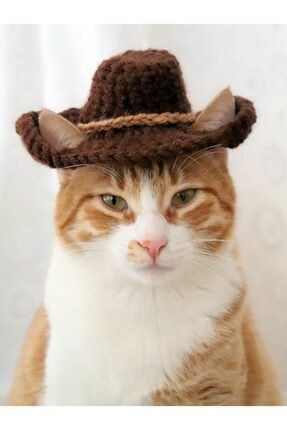Dedektif Meraklı Kedi Şapkası & Aksesuar , Fenomen Kedi, El Yapımı Örgü TYC00198603194