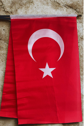 AKYILDIZ store (10 Adet) 30x45 cm Sopalı Bez Türk Bayrağı KALİTELİ ALPAKA KUMAŞ