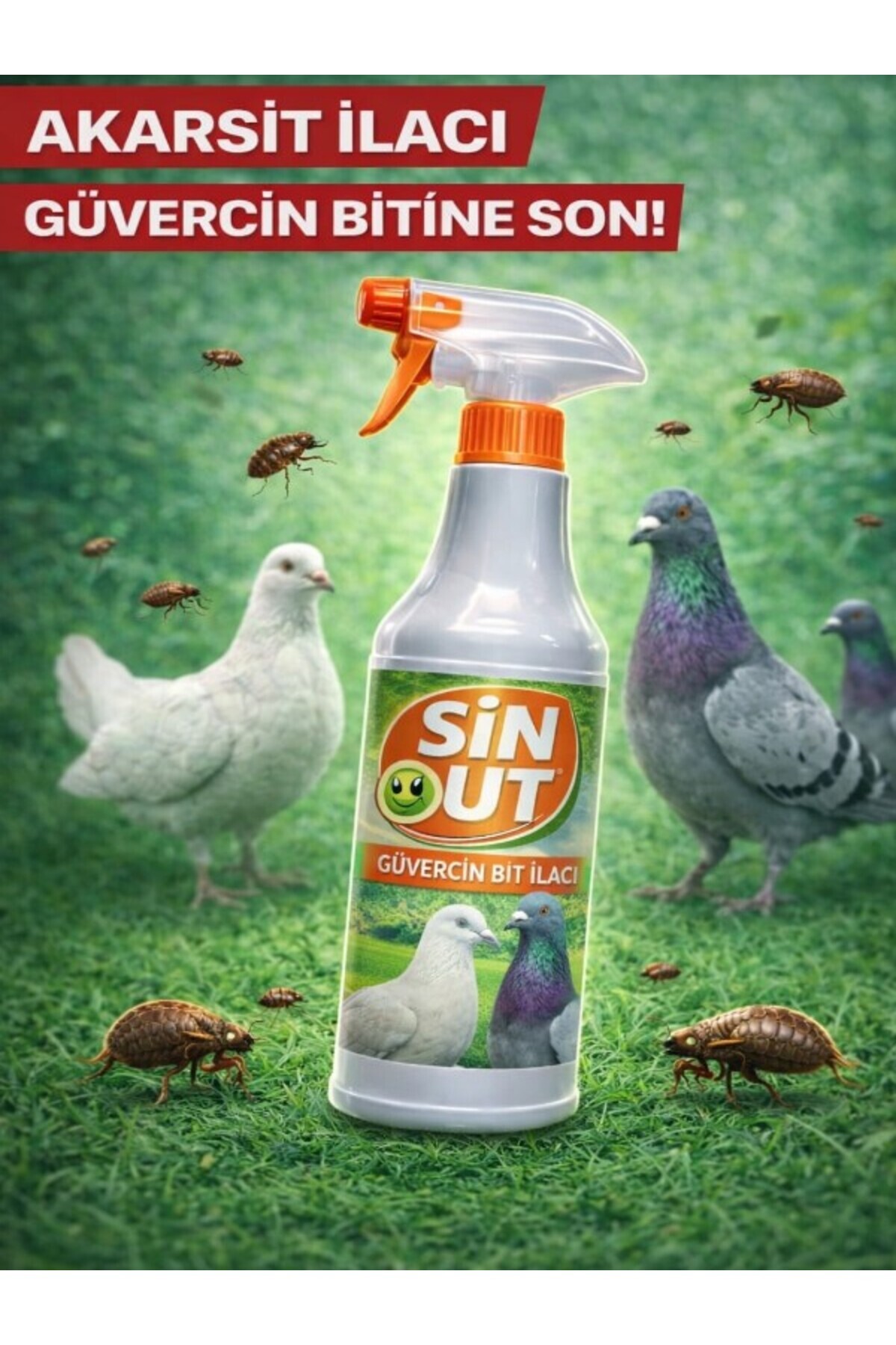 SinOut Güvercin Bit 500 ML - Fiyatı, Yorumları