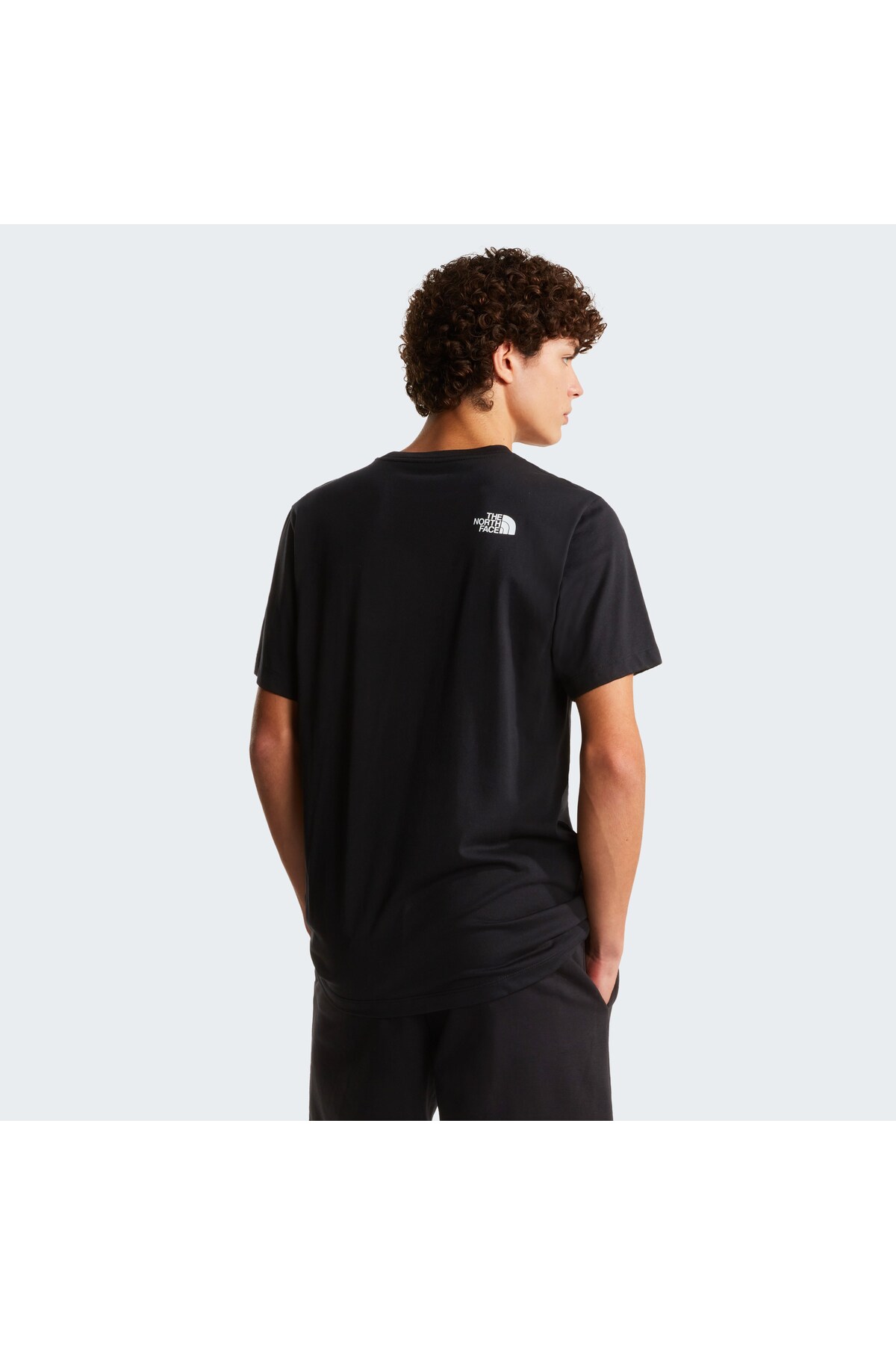 THE NORTH FACE M Evolution Box Half Dome Regular Erkek Tişört görsel 2