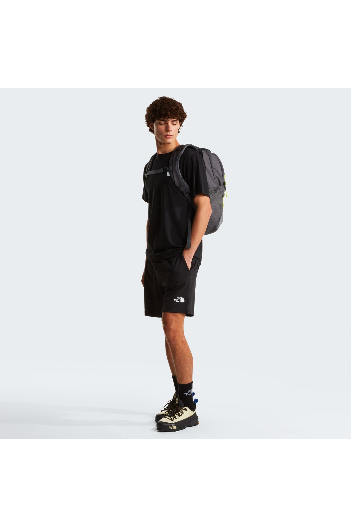THE NORTH FACE M Evolution Box Half Dome Regular Erkek Tişört görsel 4