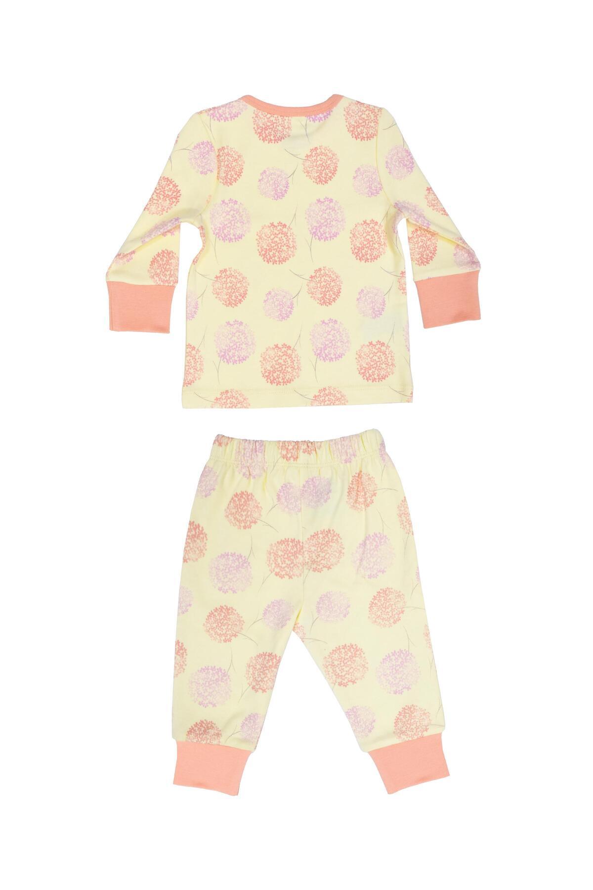 OrganicKid Mix Bebek Somon Pijama Takımı fotoğrafı 2 (önizleme)
