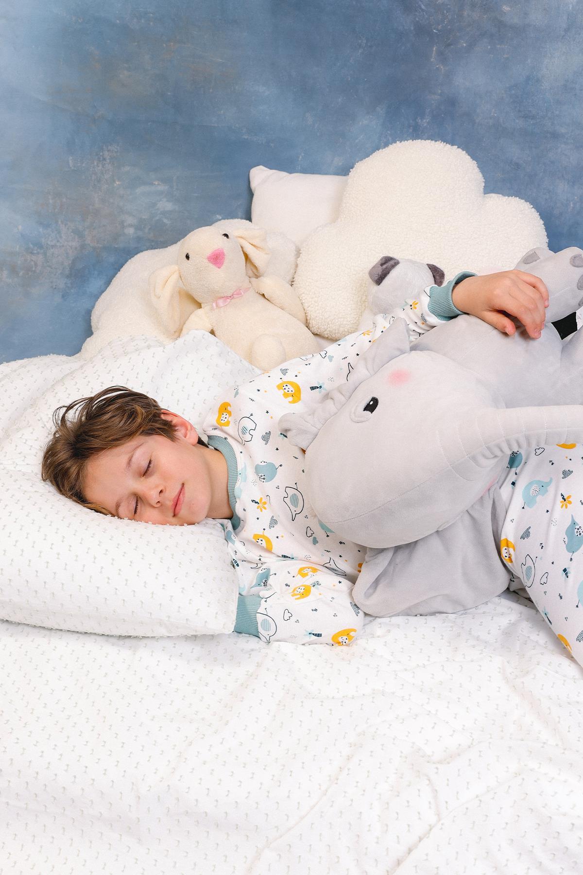 Perendi Erkek Çocuk %100 Pamuk Pijama Takımı fotoğrafı 5 (önizleme)