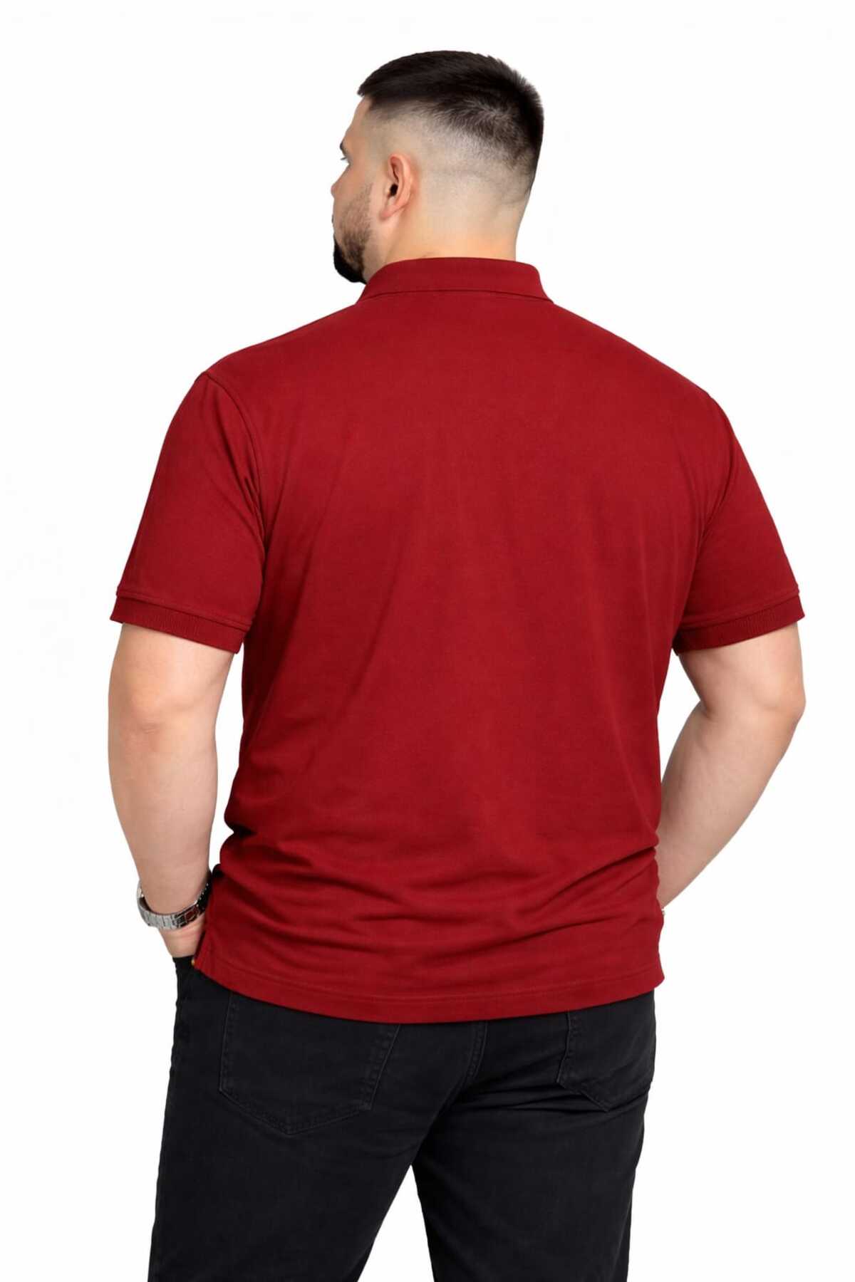 Castello Erkek Battal Boy Polo Yaka Tişört | Büyük Beden Rahat Kalıp Lacoste Kumaş görsel 3