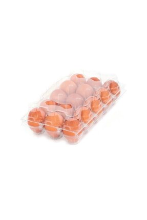 Kalite Meraklıları (100 Adet) 15’li Plastik Yumurta Viyolü – Sağlam & Uzun Öm...