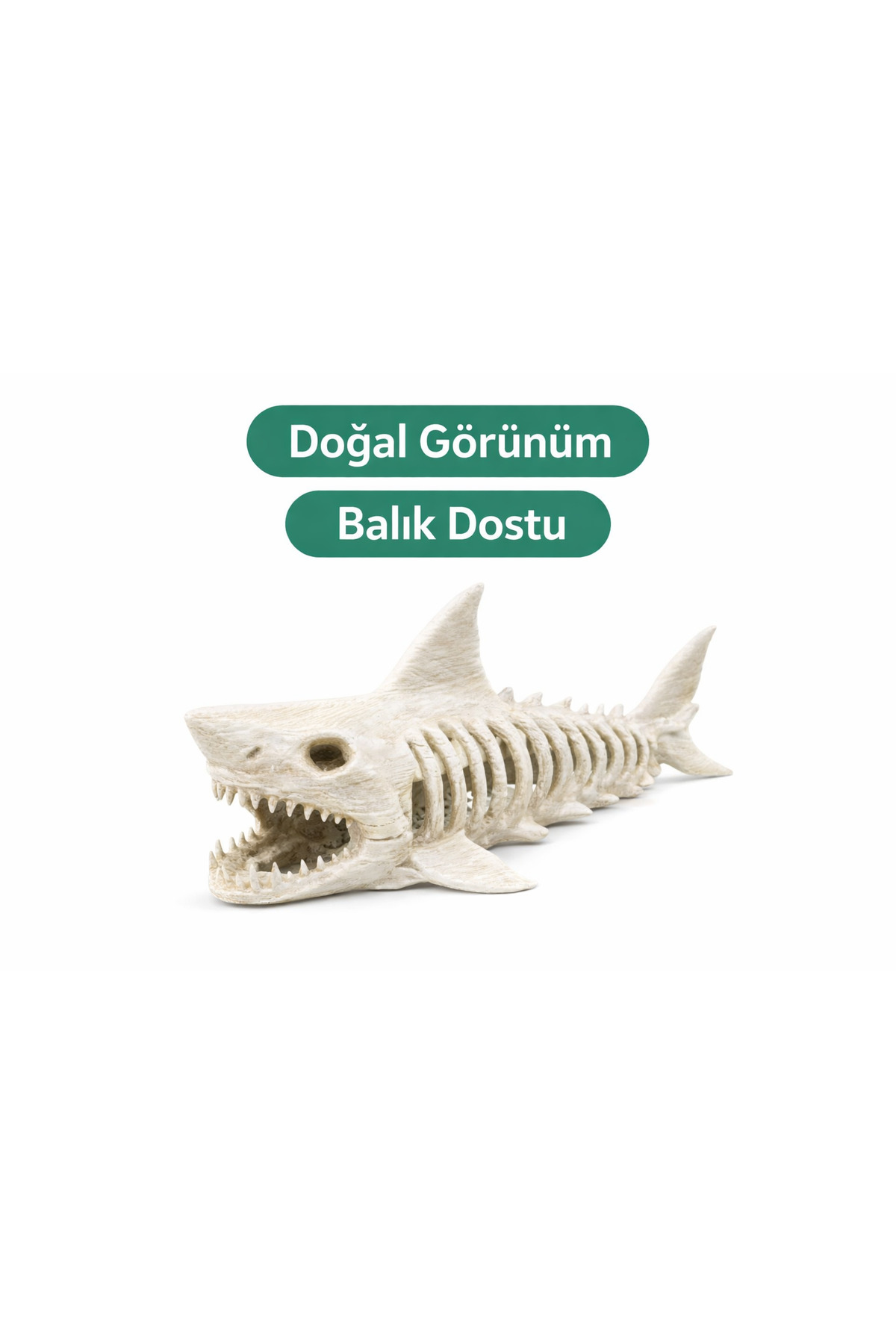 İKONİXPET Köpekbalığı Fosili Akvaryum Dekoru Beyaz Akvaryum Süsü Doğal Görünümlü Balık Dekoru - Fiyatı, Yorumları
