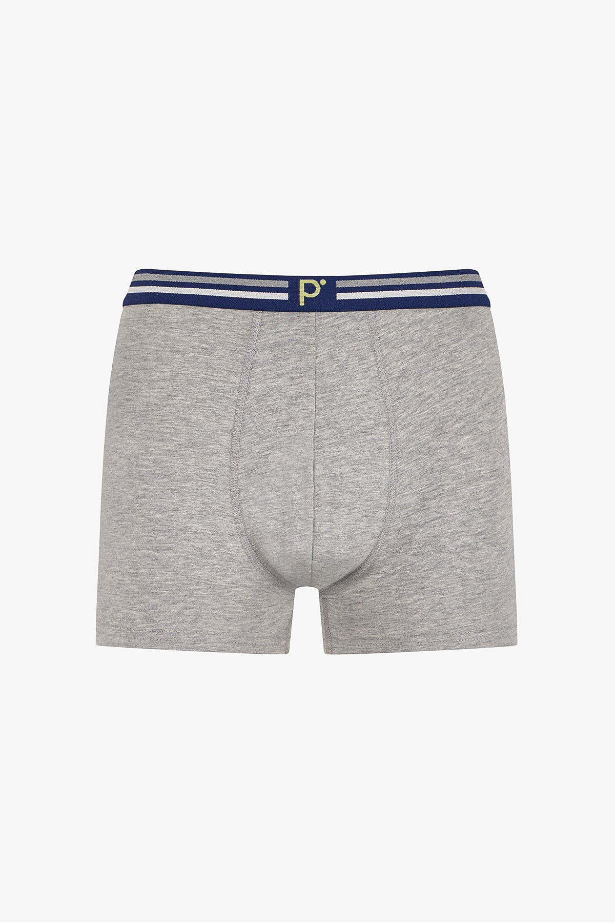 Penti  Erkek Renkli Chill Grid Çoklu Boxer - Görsel 3