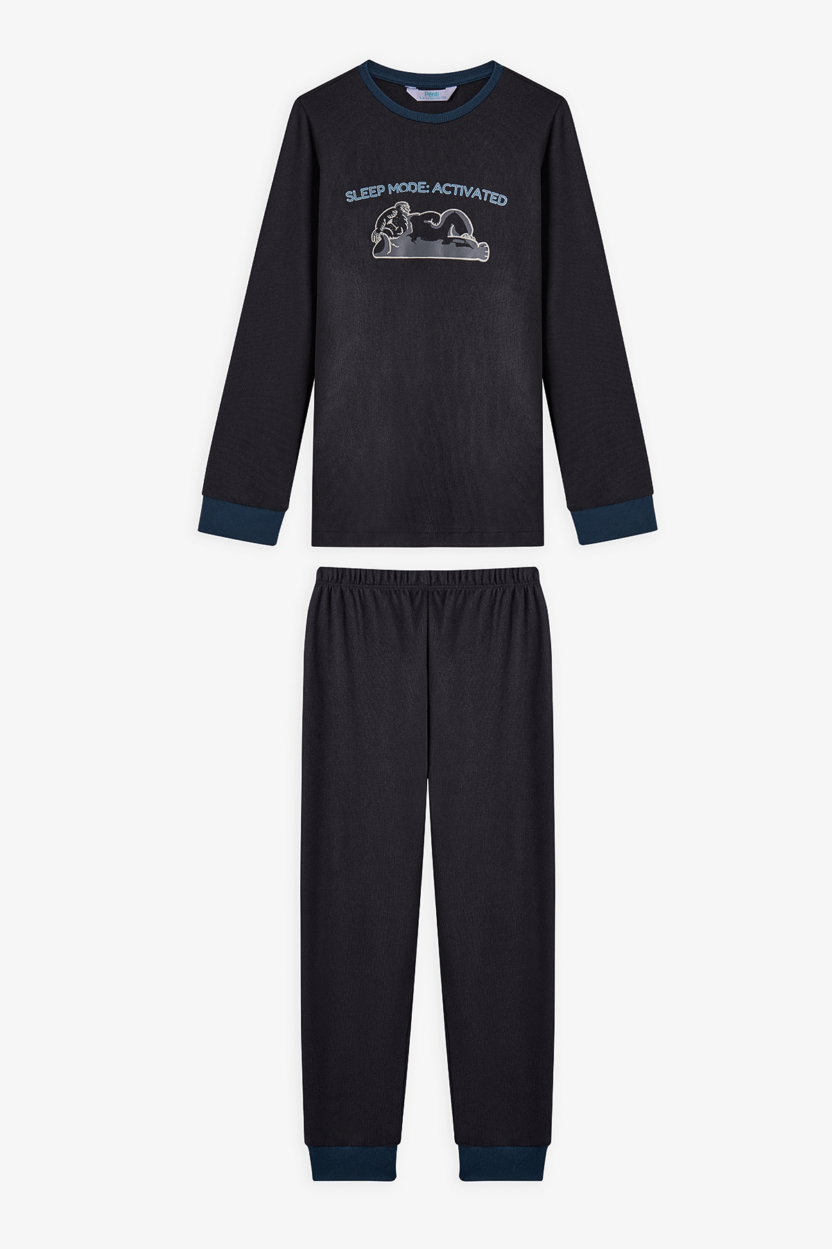 Penti Antrasit Erkek Çocuk Yeti Canavar Baskılı Termal Etkili Pijama Takımı fotoğrafı 2 (önizleme)