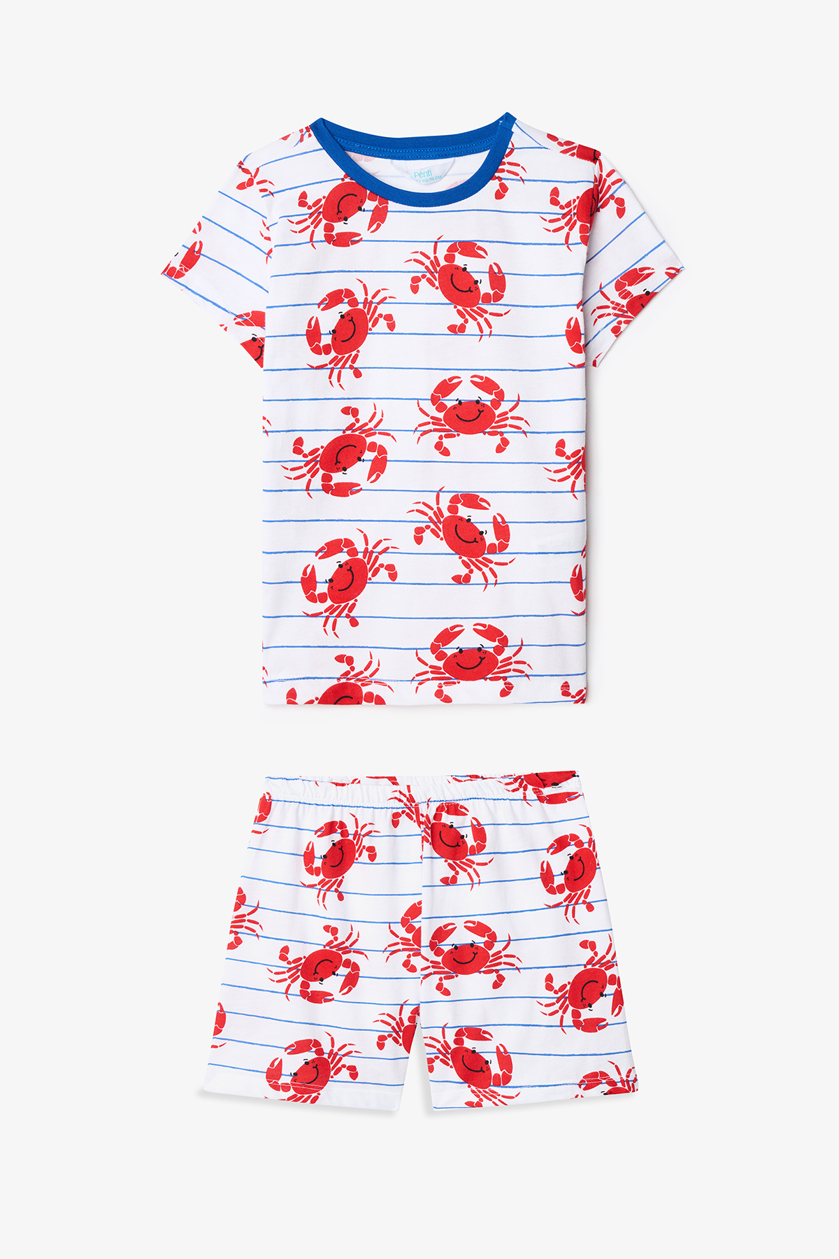 Penti Erkek Çocuk Mediterranean Pamuklu 2li Pijama Takımı fotoğrafı 6 (önizleme)