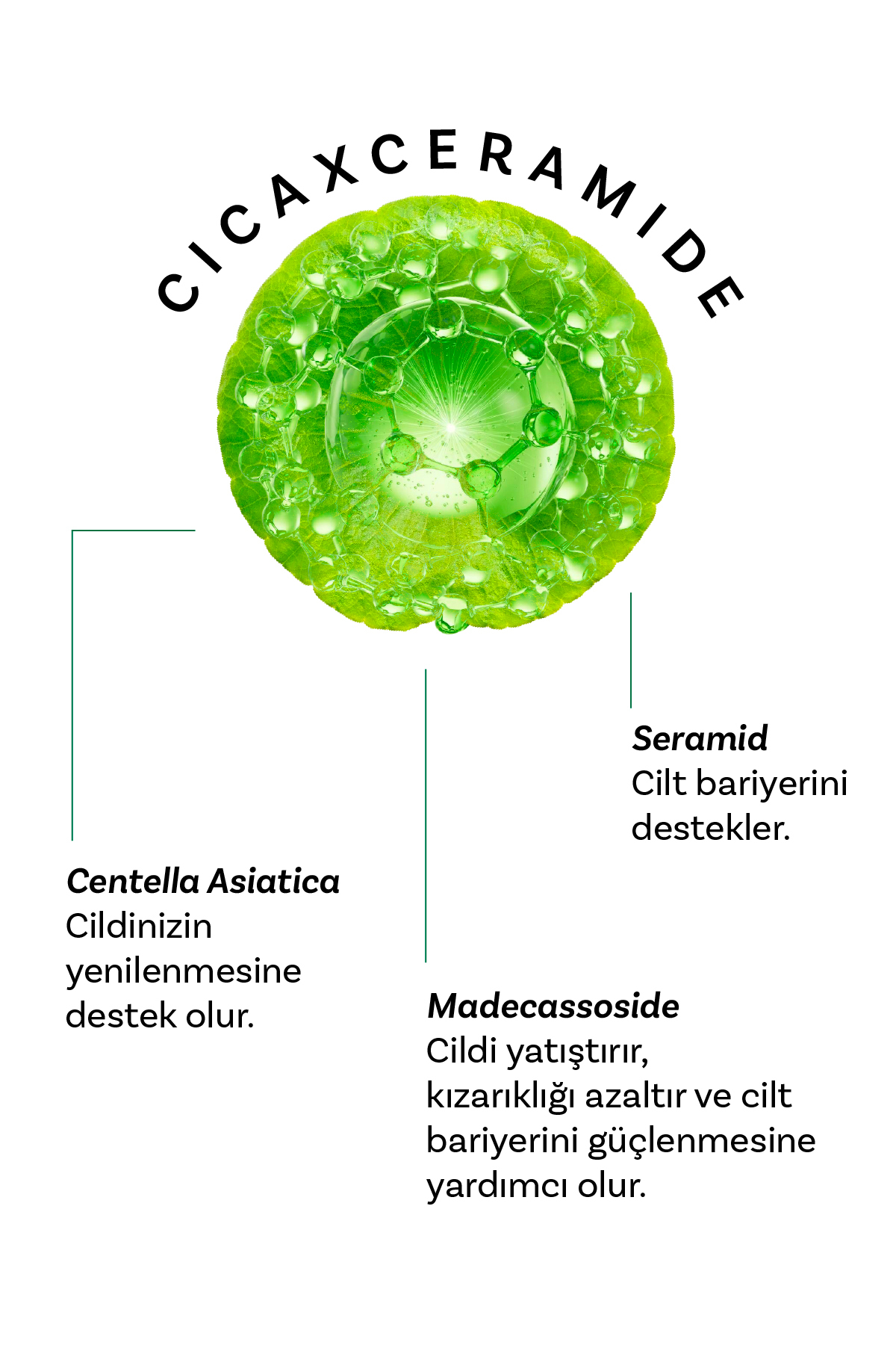 Cıca X Mide Centella Asiatica Özlü Göz Çevresi Kremi ve Tonik — TYCaa5e7da32514f4044a76c — تصویر 3 از 8