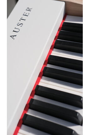 Auster uster Art Edition ADP100 Dijital Piyano - 88 Tuş Çekiç Aksiyonlu + Met...