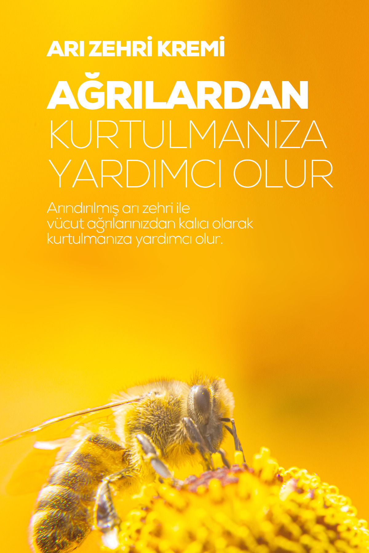 Bee Venom Arı Zehri Kremi XL Yeni Boy 200ml — MCBVCL1 — تصویر 4 از 6