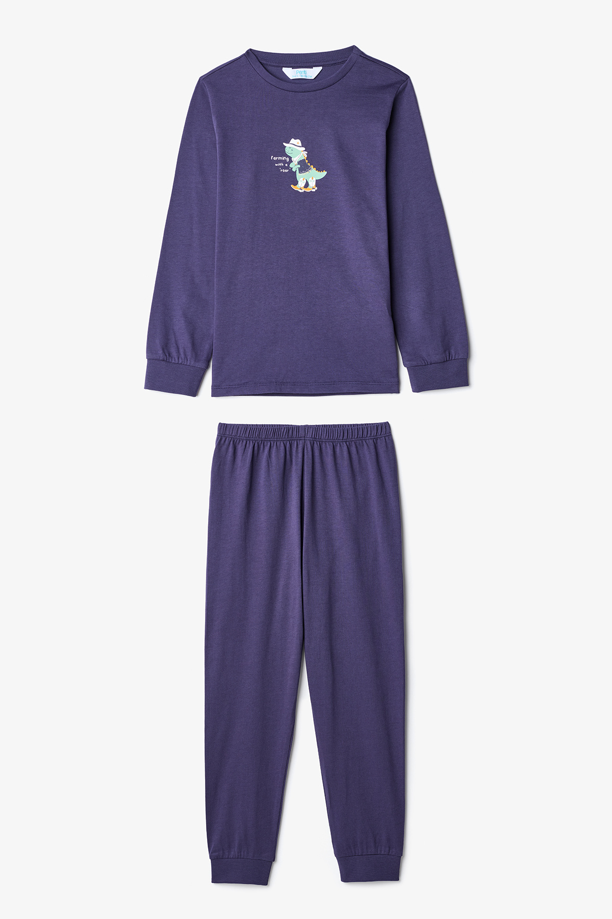 Penti Erkek Çocuk Dino Farm Çizgili Pamuklu Uzun Kollu 2'li Pijama Takımı fotoğrafı 6 (önizleme)