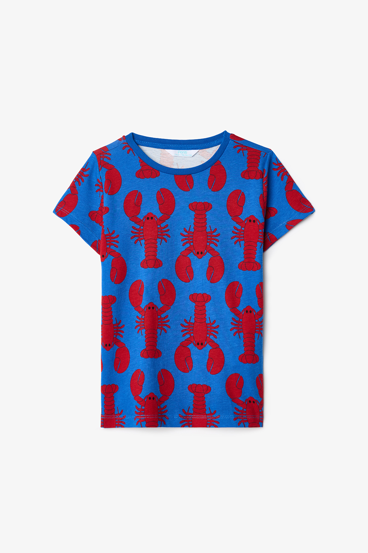 Penti Erkek Çocuk Mediterranean Pamuklu 2li Pijama Takımı fotoğrafı 4 (önizleme)