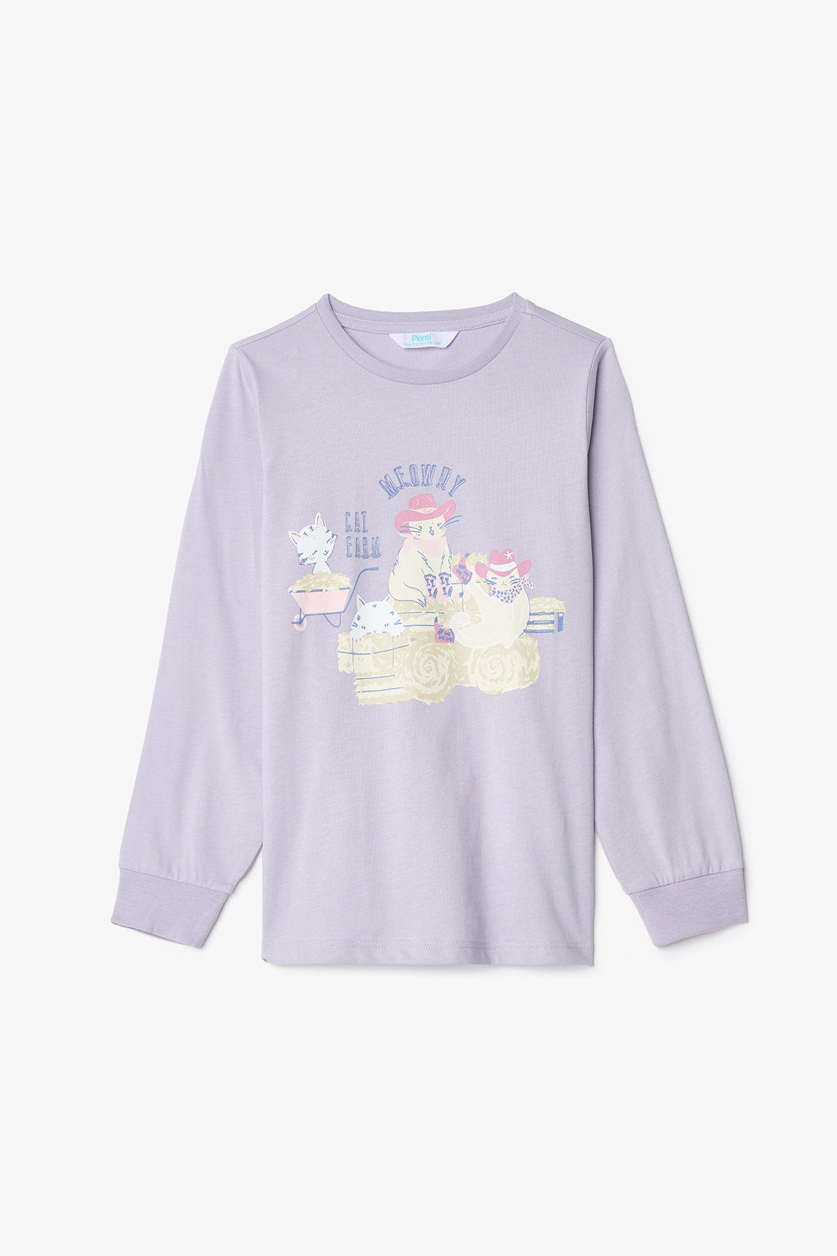 Penti Kız Çocuk Meowdy Kedi Desenli Pamuklu 2'li Uzun Kollu Pijama Takımı fotoğrafı 7 (önizleme)