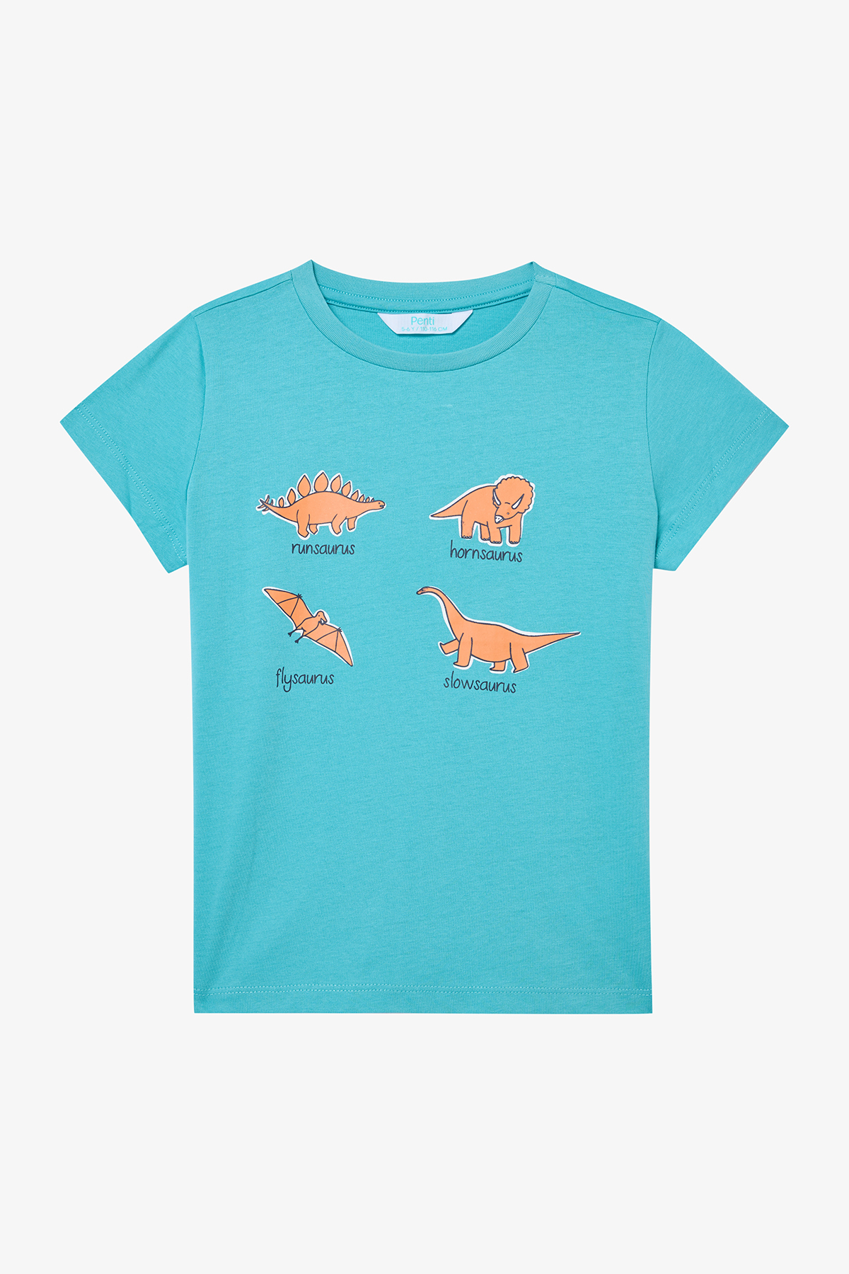 Penti Erkek Çocuk Sleepysaurus Pamuklu 2li Çok Renkli Pijama Takımı fotoğrafı 7 (önizleme)