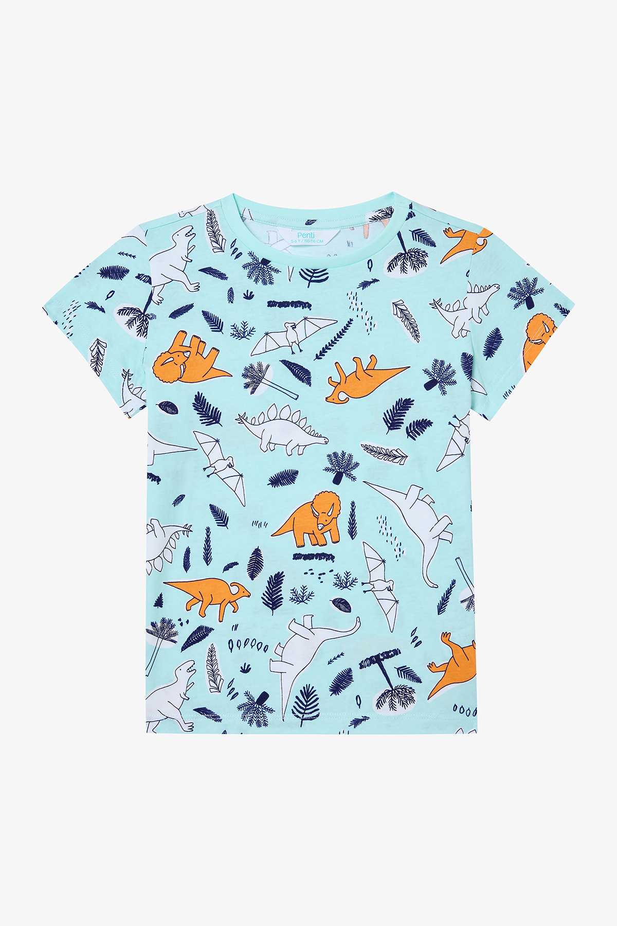 Penti Erkek Çocuk Sleepysaurus Pamuklu 2li Çok Renkli Pijama Takımı fotoğrafı 4 (önizleme)