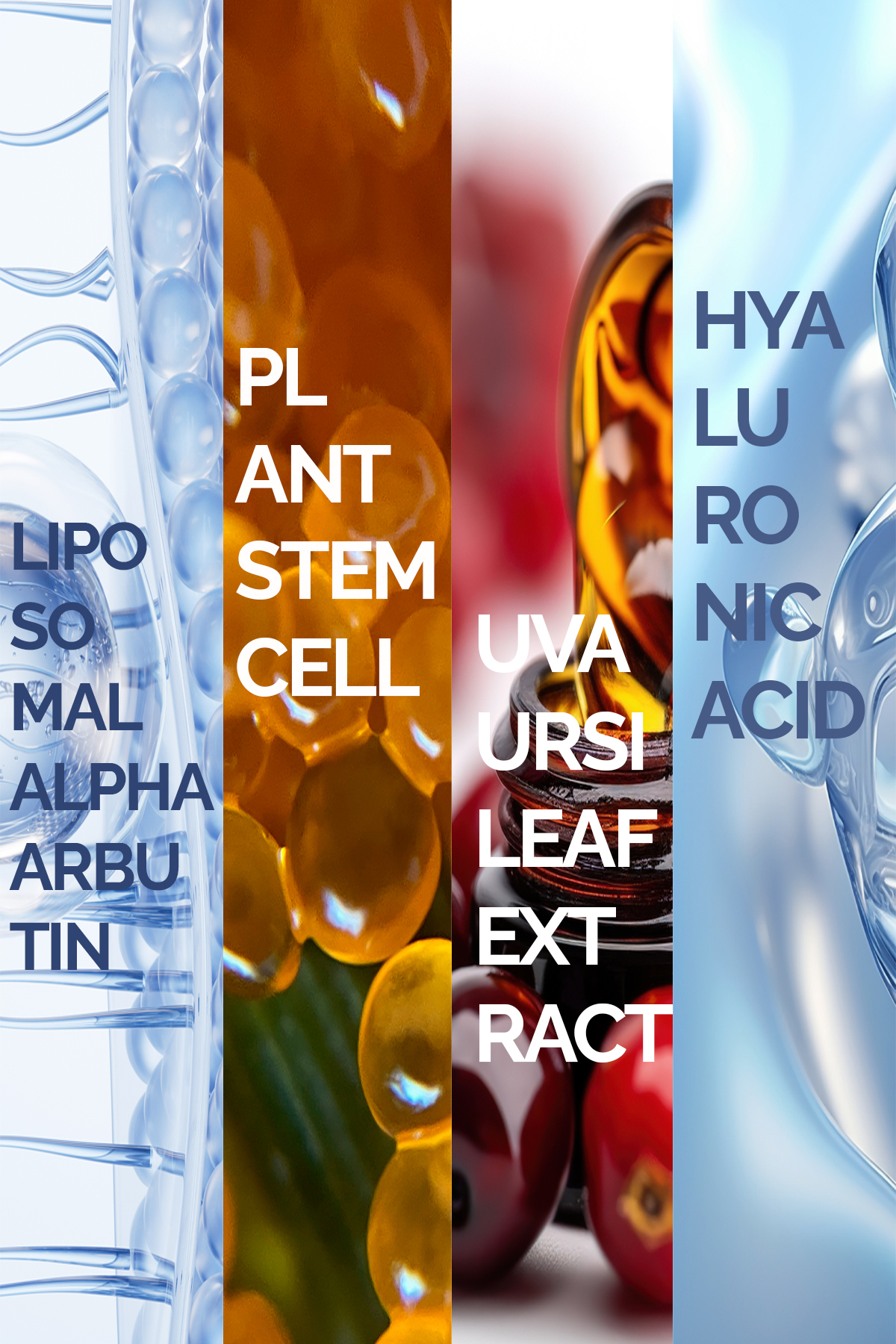 Leke Gidermeye Yardımcı Aydınlatıcı Arbutin Serum/Liposomal Arbutin Serum — arbutinserum — تصویر 5 از 7