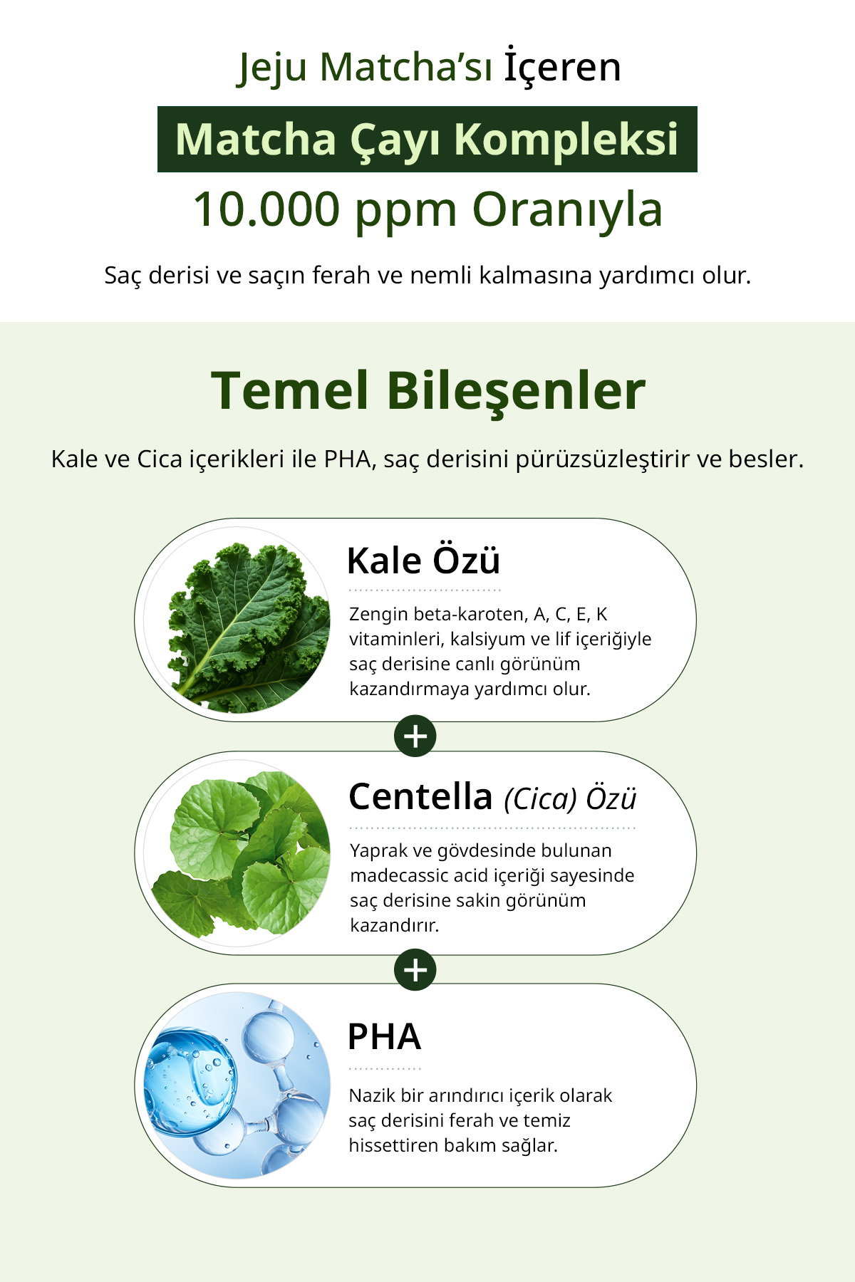 Yağlı Saçlara Dökülme Karşıtı Saç Derisi Peelingi Matcha&Kale Clarifying Sea Salt Scalp Scrub — 7262 — تصویر 7 از 9