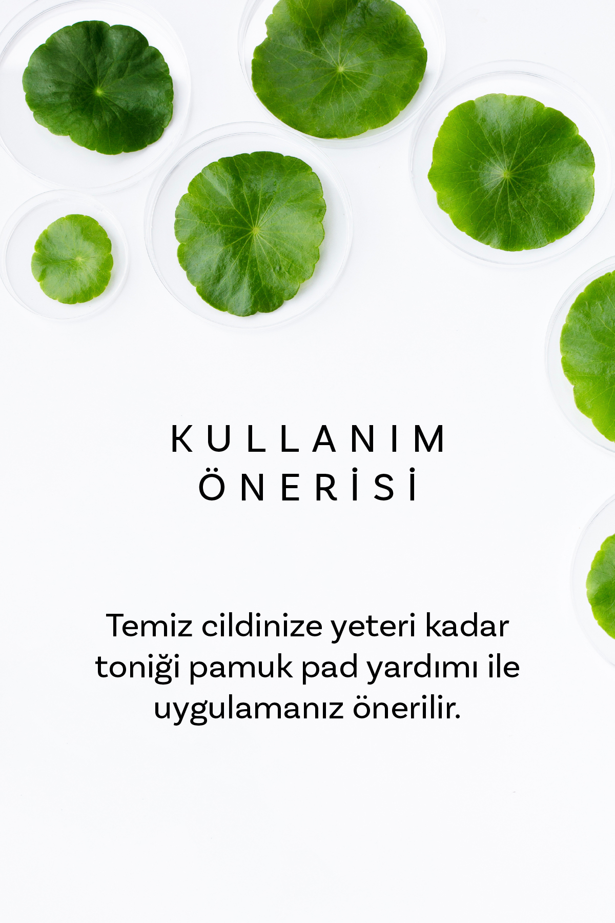 Cica X Mide Tonik 200 ml Centella Asiatica ve Seramid İçerikli Yatıştırıcı Nemlendirici Yüz Toniği 200 ml — CICA x Mide — تصویر 4 از 5