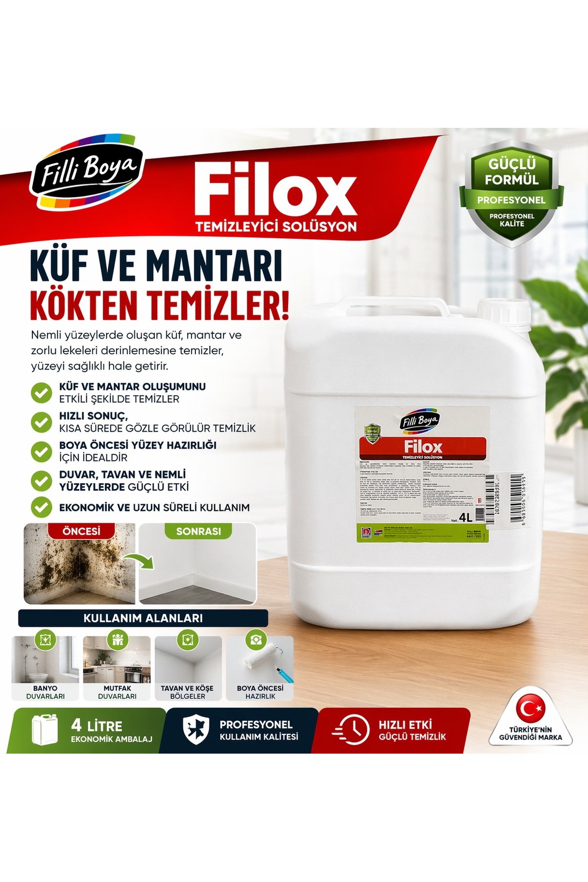 Filox Mold and Fungus Preventive Solution 4 Lt
