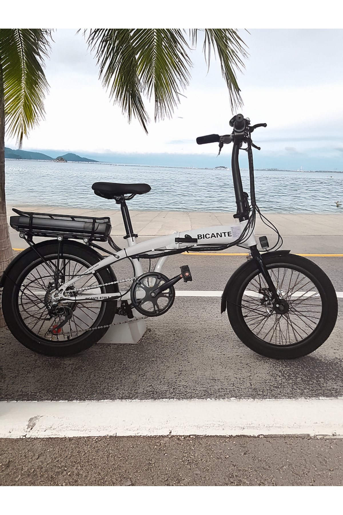 BICANTE BT-09 Katlanır E-Bike