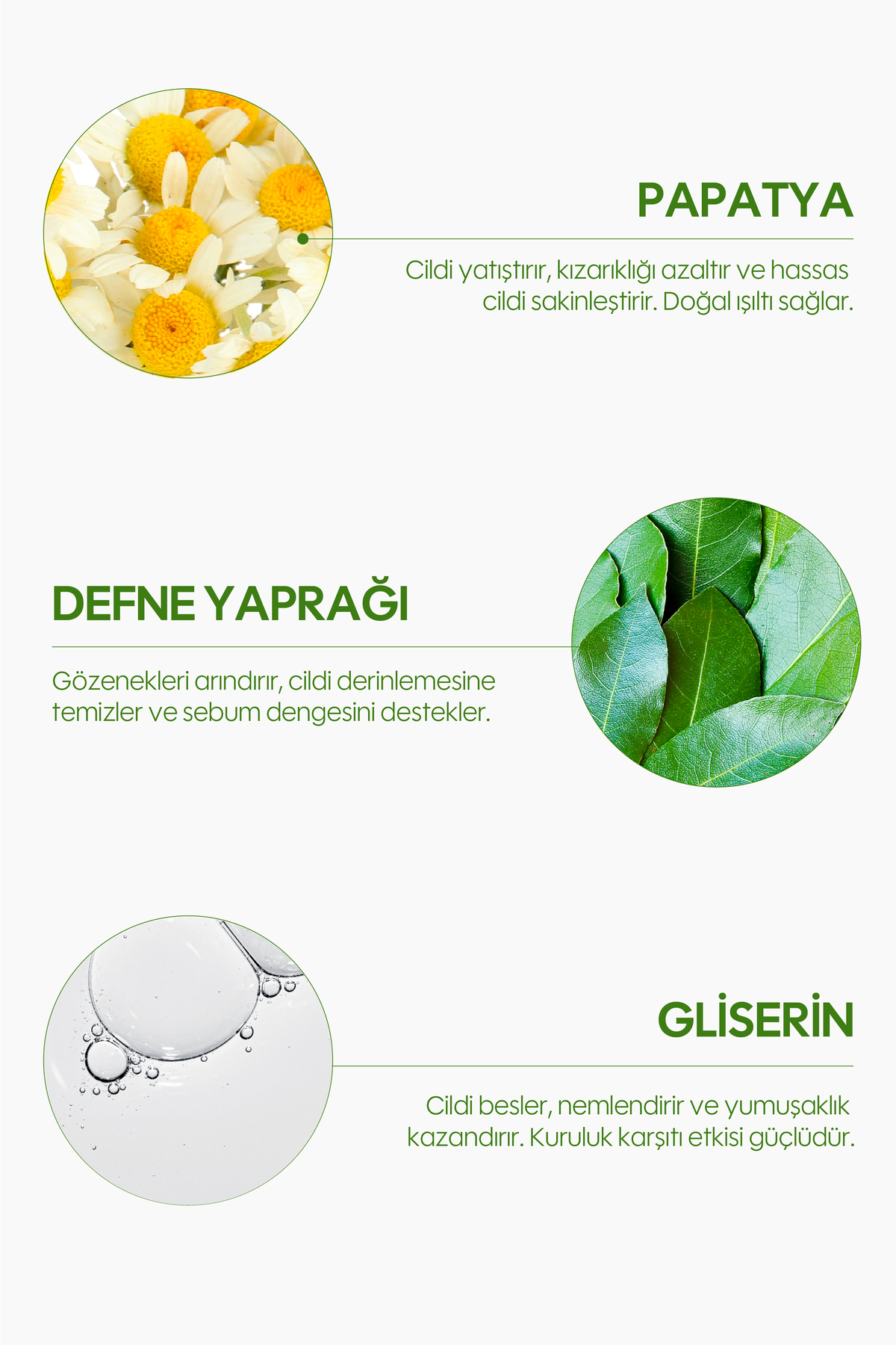 Papatya Yüz Peelingi 100 ml | Arındırıcı & Yatıştırıcı — TYC615552145DD5904685FF10 — تصویر 3 از 6