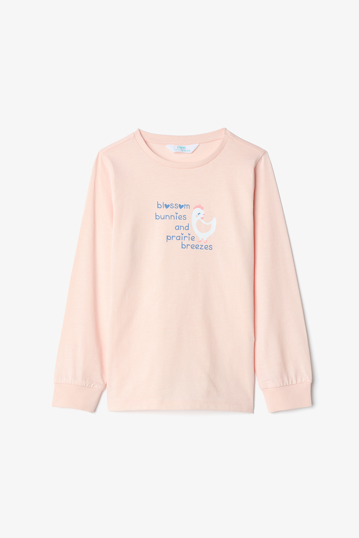 Penti Kız Çocuk Handkerchief 2'li Uzun Kollu Pamuklu Pijama Takımı fotoğrafı 7 (önizleme)