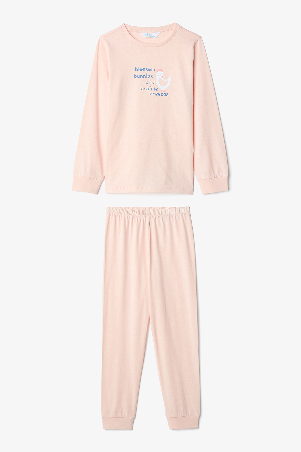 Penti Kız Çocuk Handkerchief 2'li Uzun Kollu Pamuklu Pijama Takımı fotoğrafı 6 (önizleme)