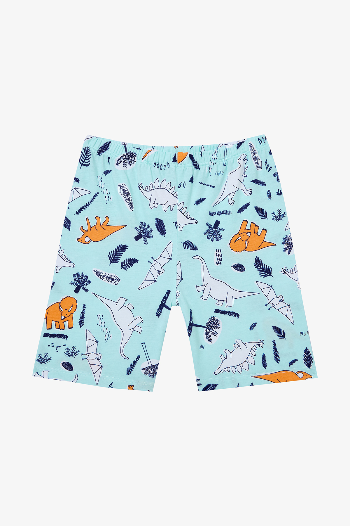 Penti Erkek Çocuk Sleepysaurus Pamuklu 2li Çok Renkli Pijama Takımı fotoğrafı 5 (önizleme)