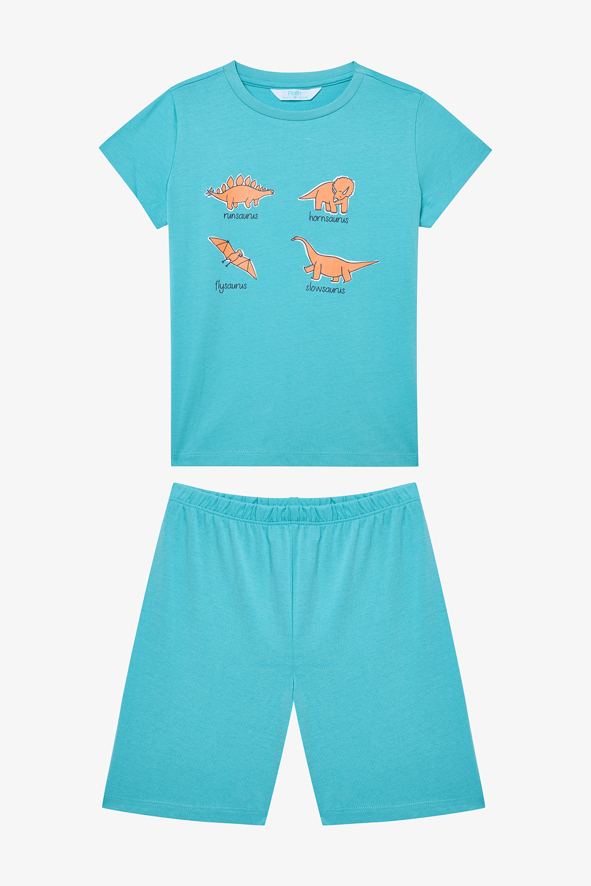 Penti Erkek Çocuk Sleepysaurus Pamuklu 2li Çok Renkli Pijama Takımı fotoğrafı 6 (önizleme)