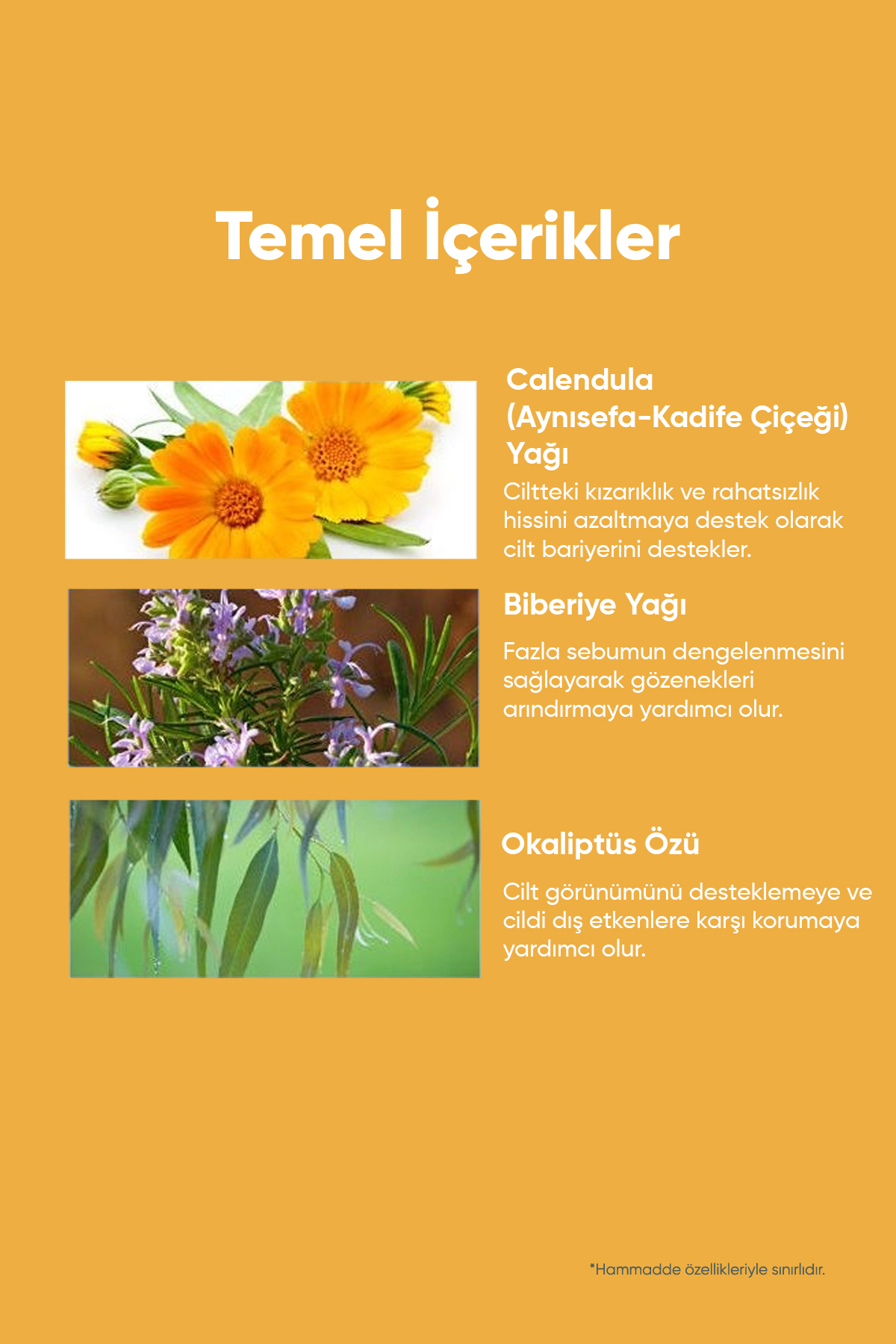 Aynısefa İçeren Gözenek Arındırıcı Makyaj Temizleme Yağı A'PIEU Calendula Cleansing Oil Pore Melting — 8112 — تصویر 4 از 6