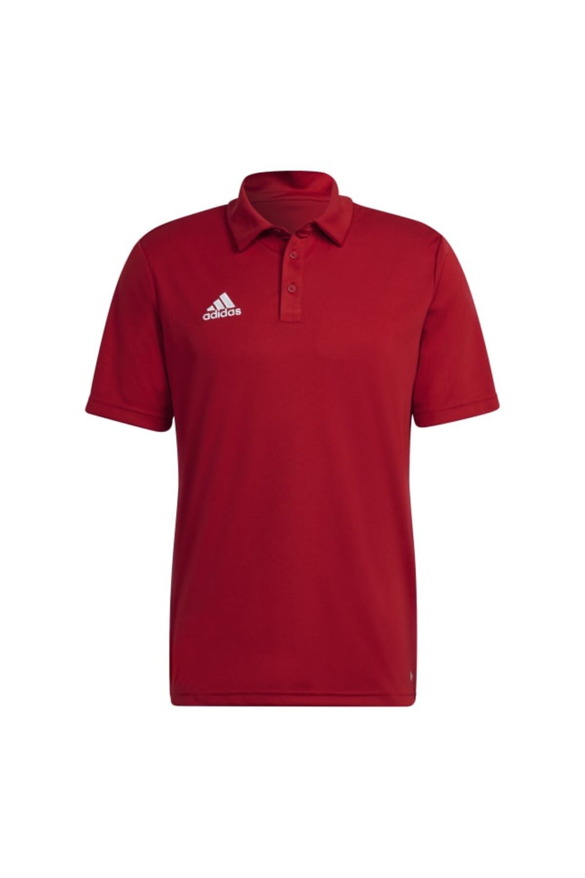 adidas Entrada 22 Polo Shirt