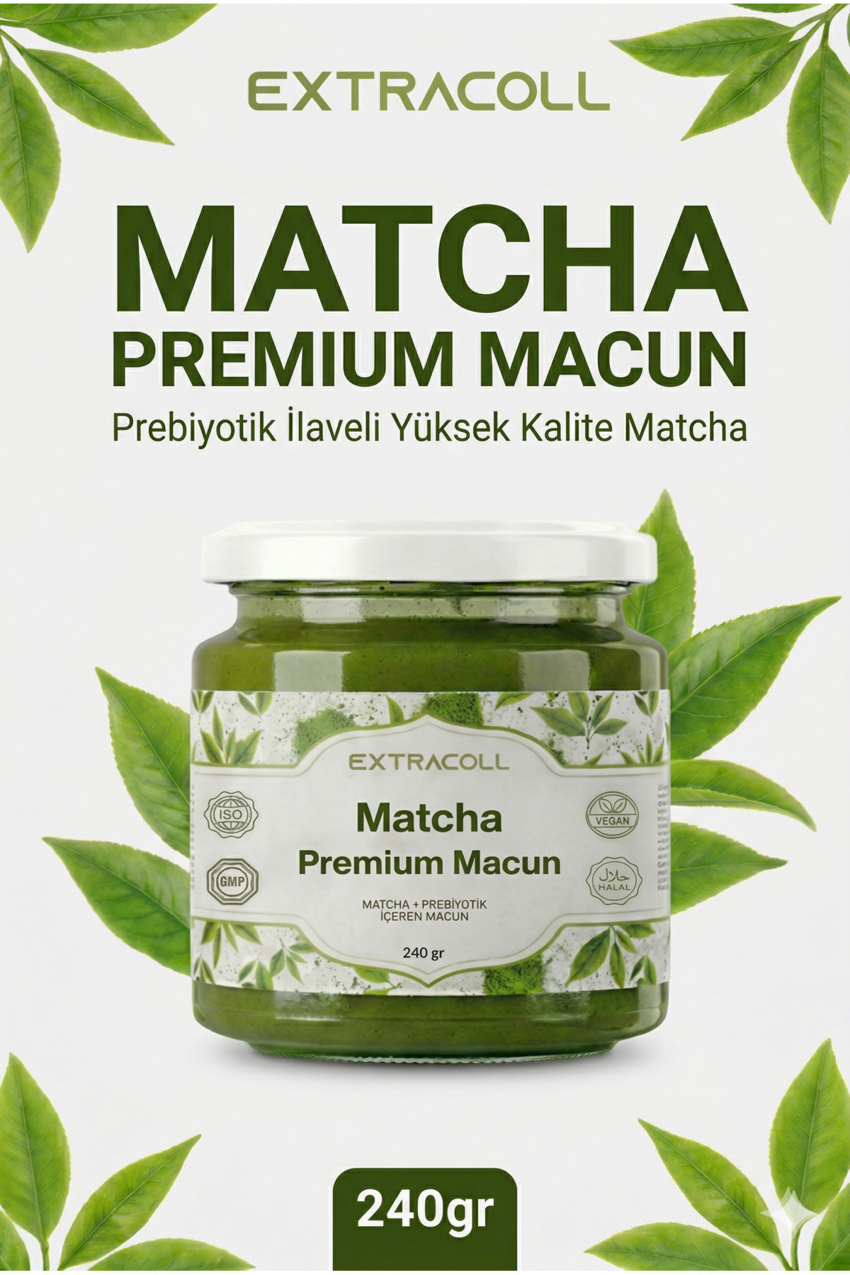 extracoll Matcha Prebiyotik Macunu - Fiyatı, Yorumları