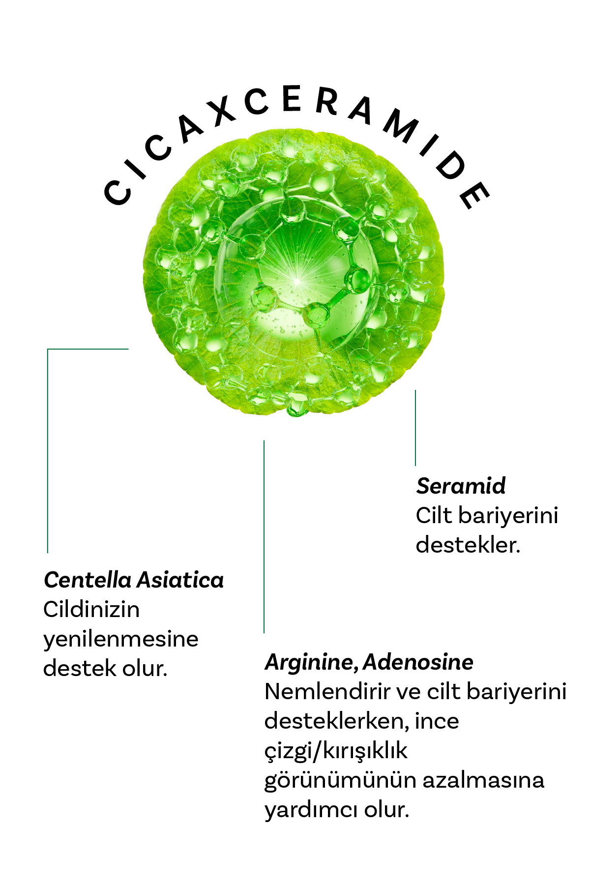 Cıca X Mide Centella Asiatica Özlü Göz Çevresi Kremi ve Tonik — TYCaa5e7da32514f4044a76c — تصویر 6 از 8