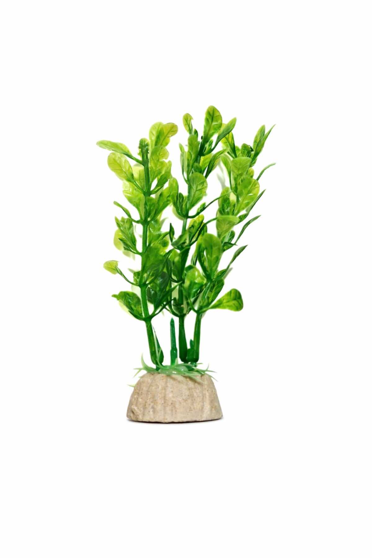 Petistera Akvaryum Plastik Bitki 10 cm - PB15 - Fiyatı, Yorumları