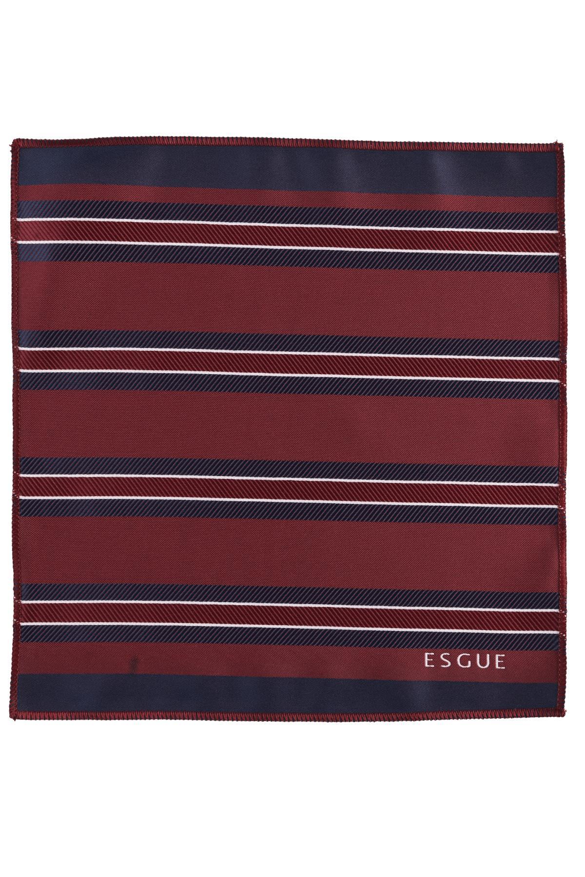 Esgue Hand Made 6 cm Slim Çizgili Desenli Bordo Lacivert Renk Mendilli İnce Kravat görsel 6