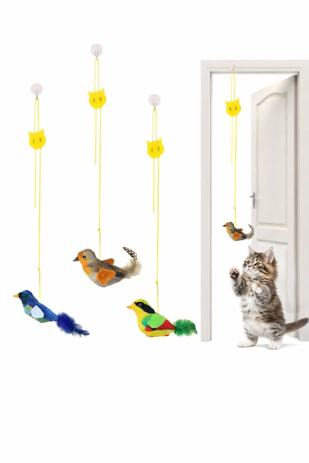 HAYHAYPETSHOP Kapıya Asılan Kedi Oyuncağı Sesli Kuşlu Elastik Kedi Oyuncağı Hareketli Kedi Eğlence Oyuncağı - Fiyatı, Yorumları
