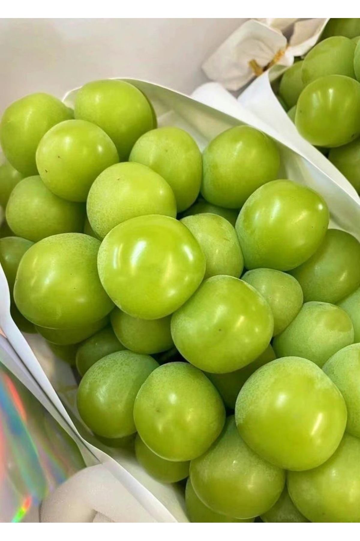 Fruit Paradise Taze Yeşil Erik 1 KG - Fiyatı, Yorumları