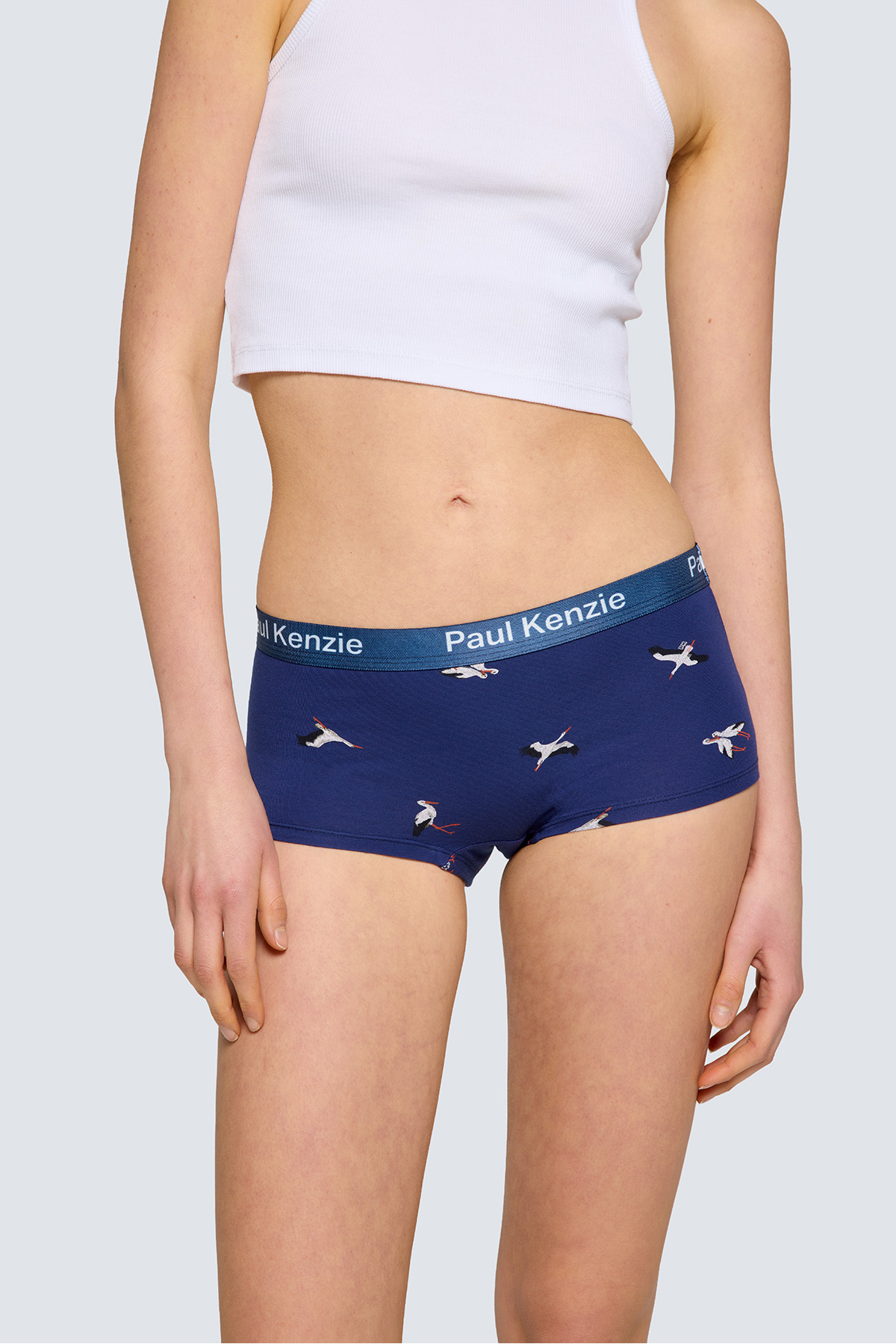 Paul Kenzie x Doğa Derneği Kadın Boyshort Külot - Leylek görsel 5