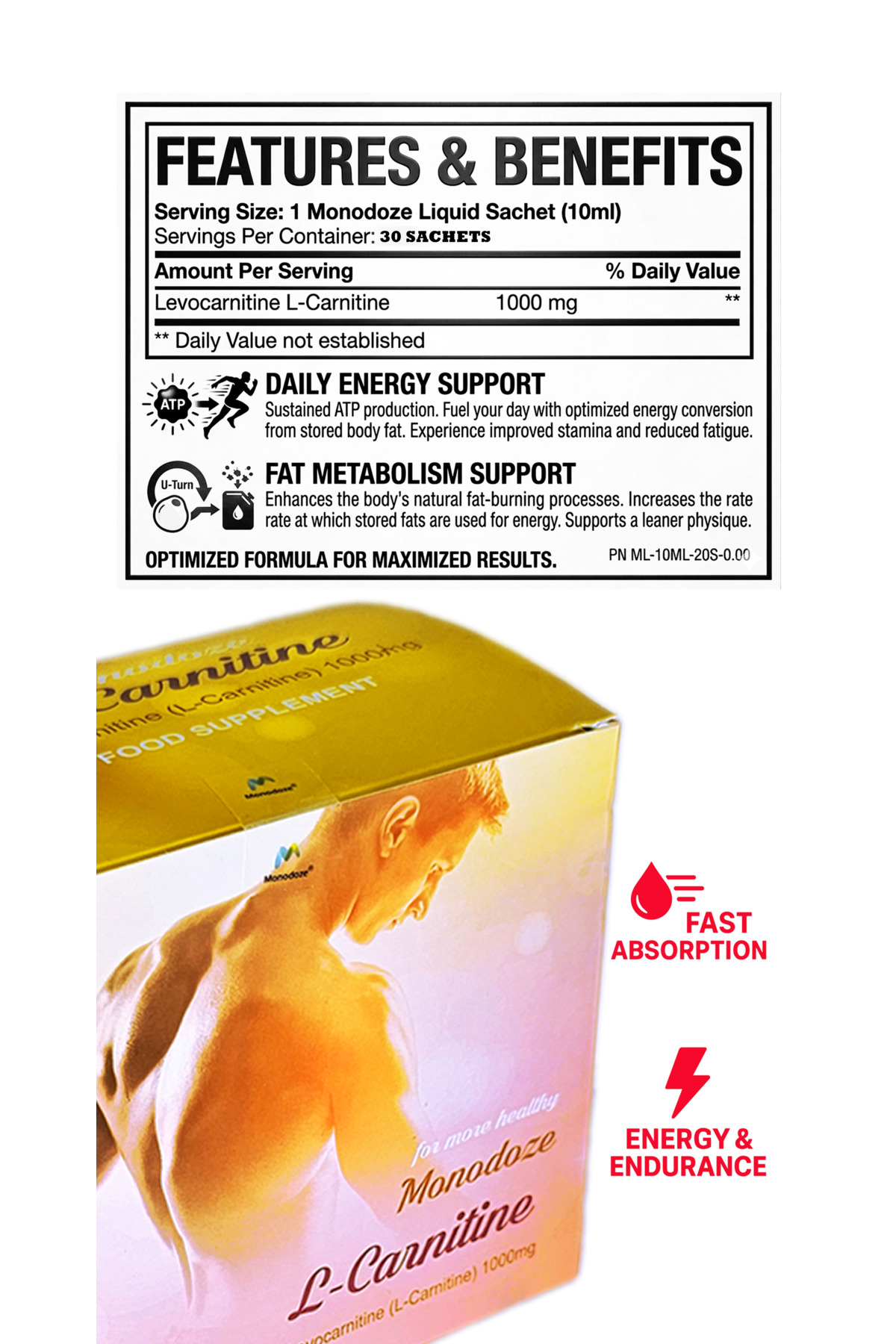 what dose of l-carnitine should i take Morning or Evening? Best Time to Take L-Carnitine