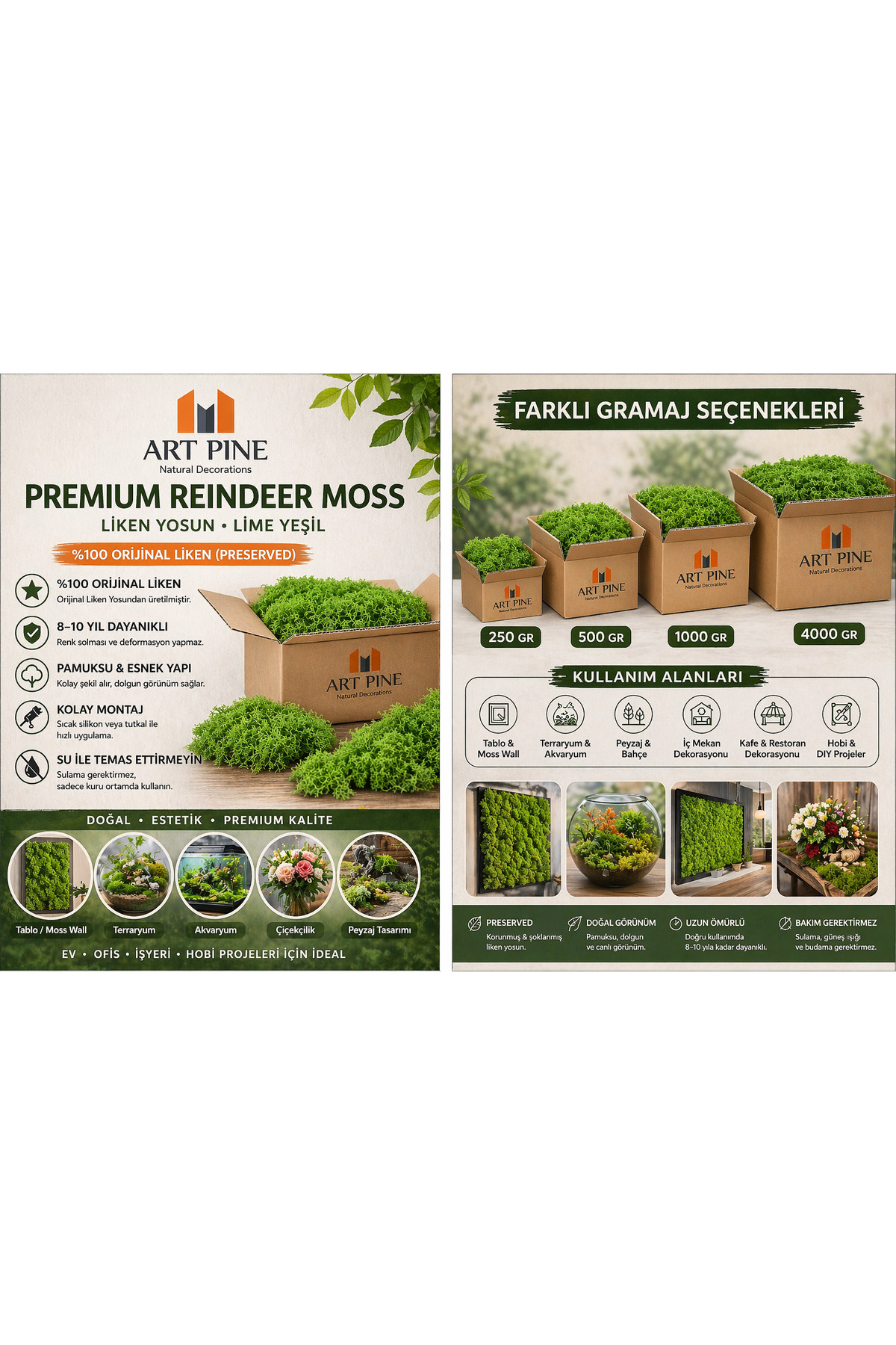 ART PINE Premium Preserved Şoklanmış Yeşil Renk ReindeerMoss