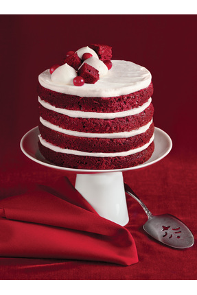 ergo food Red Velvet Kek 10 Kg Profesyonel Kadife Dokulu Kek Mix | Yoğun Kırm...