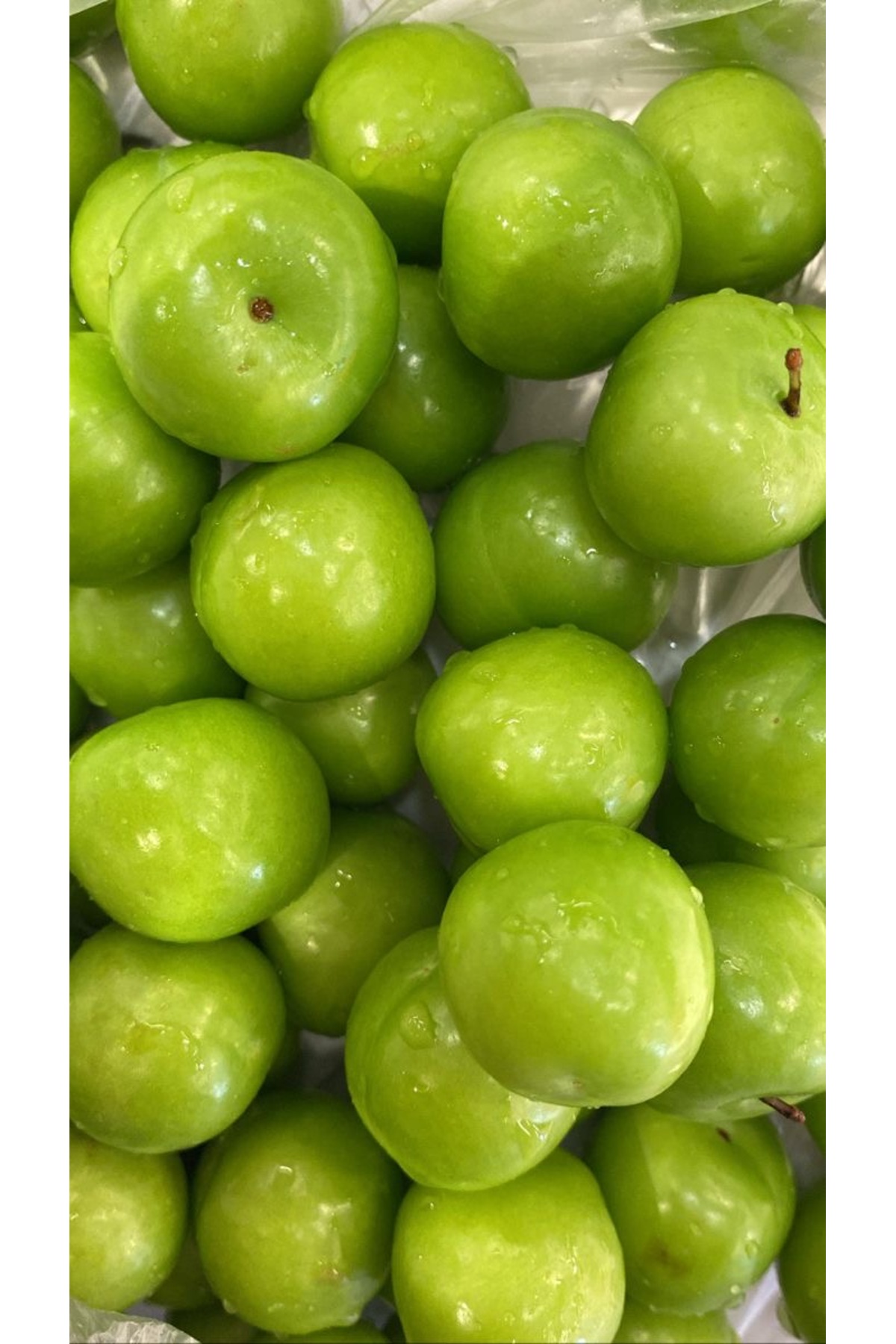 Fruit Paradise Taze Yeşil Erik 1 KG - Fiyatı, Yorumları