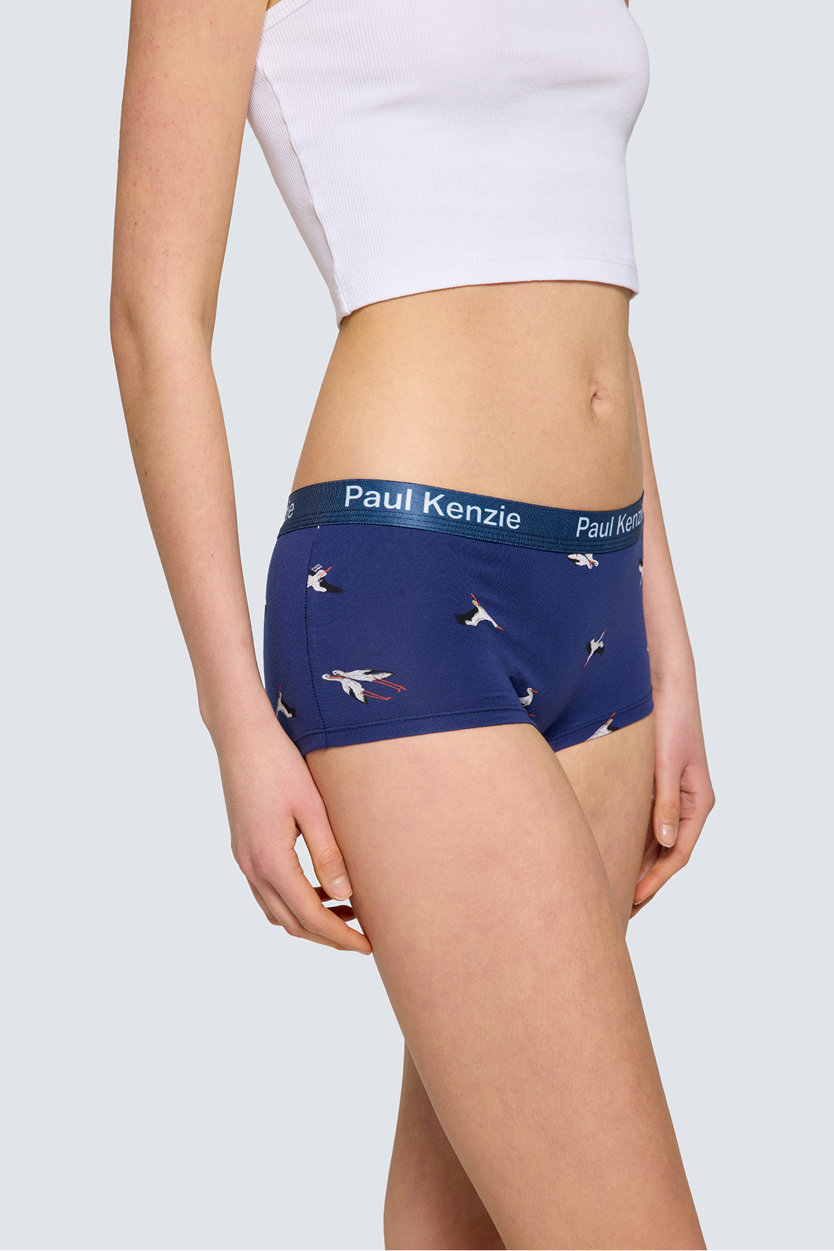 Paul Kenzie x Doğa Derneği Kadın Boyshort Külot - Leylek görsel 6