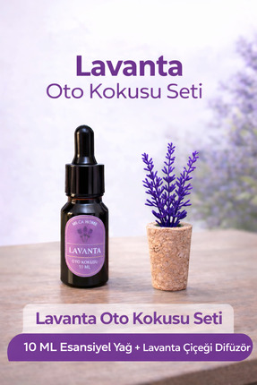 Mi-ÇA HOME Lavanta Oto Kokusu Seti 2’li – 10 ML Esansiyel Yağ + Lavanta Dalı ...