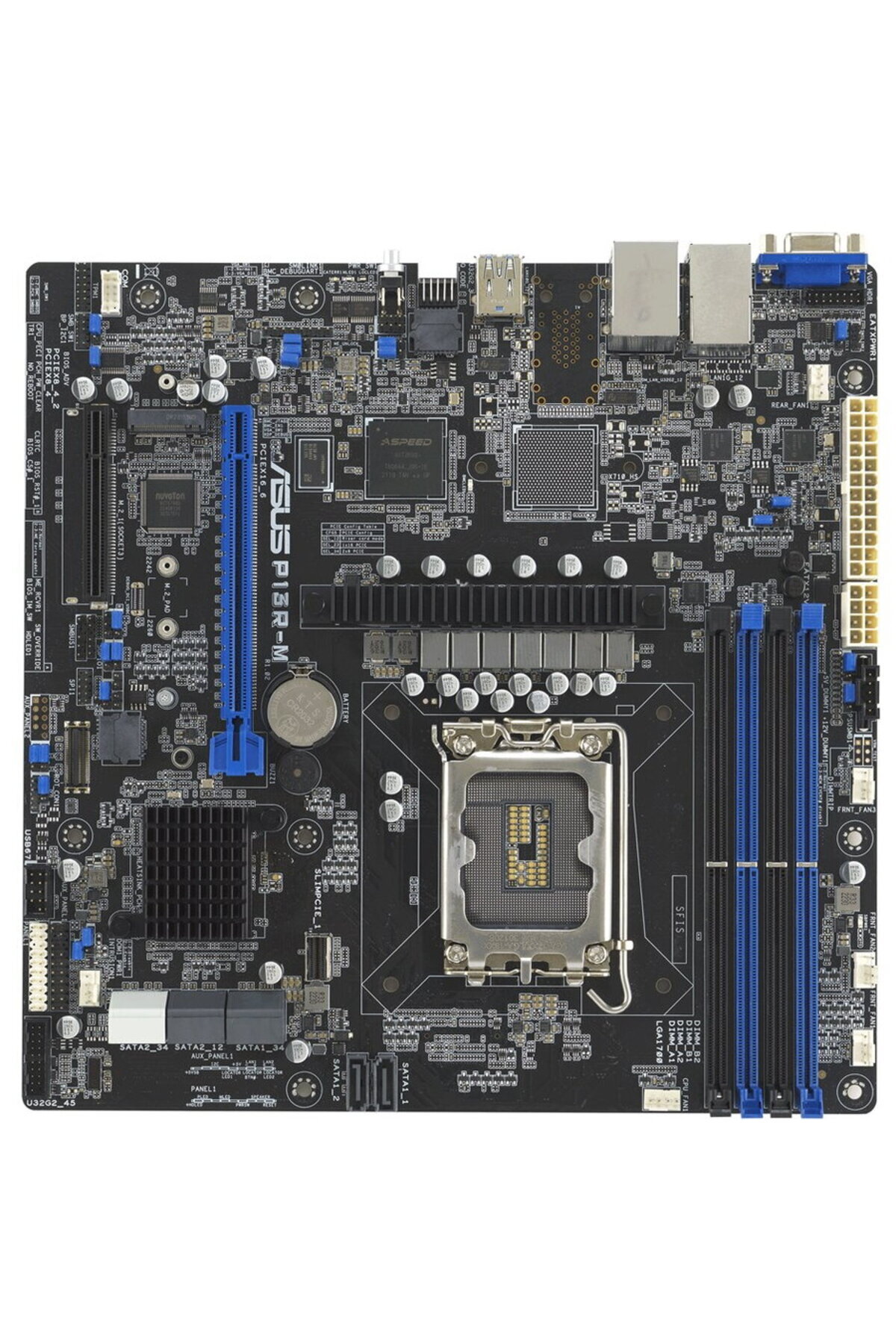 ASUS P13R-M Intel C262 LGA1700 DDR5 micro ATX- Trendyol